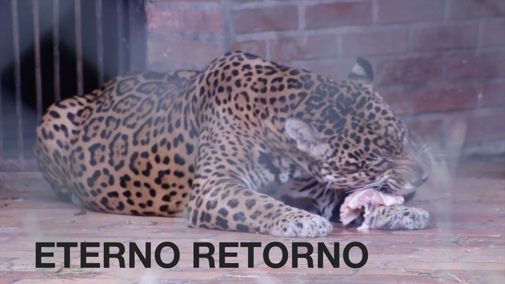 ETERNO RETORNO (2020) – Som Binaural/Fones de Ouvido